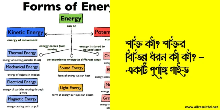 শক্তি কী? শক্তির বিভিন্ন ধরন কী কী? – একটি পূর্ণাঙ্গ গাইড
