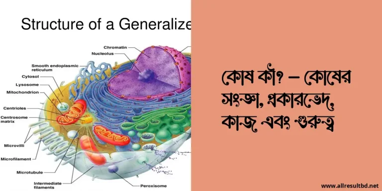 কোষ কী? – কোষের সংজ্ঞা, প্রকারভেদ, কাজ এবং গুরুত্ব