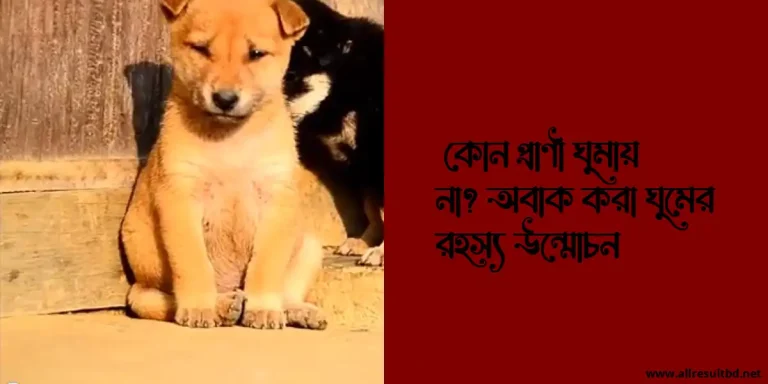 কোন প্রাণী ঘুমায় না? অবাক করা ঘুমের রহস্য উন্মোচন