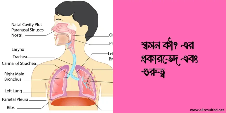 শ্বসন কী? এর প্রকারভেদ এবং গুরুত্ব