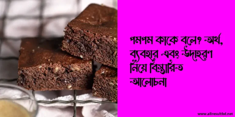 পমপম কাকে বলে? অর্থ, ব্যবহার এবং উদাহরণ নিয়ে বিস্তারিত আলোচনা